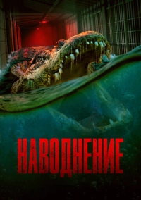 Наводнение (2023)